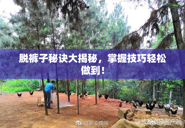 脱裤子秘诀大揭秘，掌握技巧轻松做到！