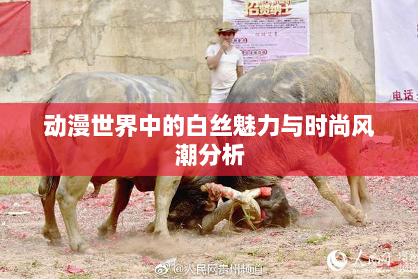 动漫世界中的白丝魅力与时尚风潮分析