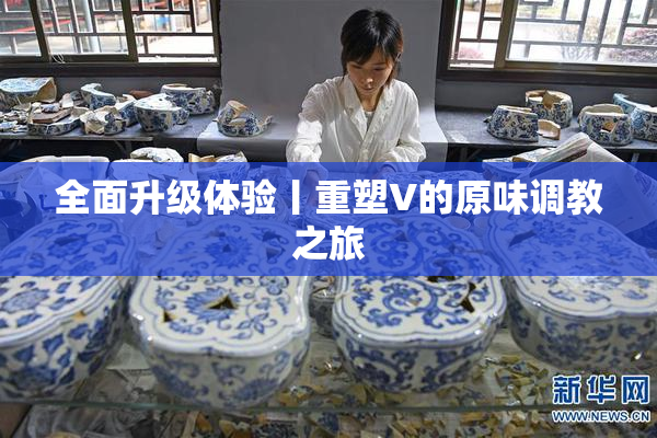 全面升级体验丨重塑V的原味调教之旅