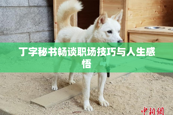 丁字秘书畅谈职场技巧与人生感悟