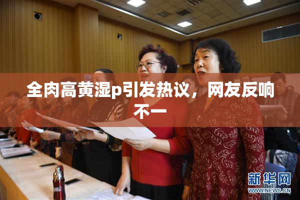 全肉高黄湿p引发热议，网友反响不一