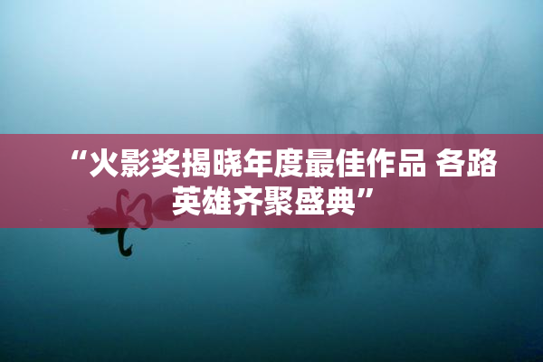 “火影奖揭晓年度最佳作品 各路英雄齐聚盛典”