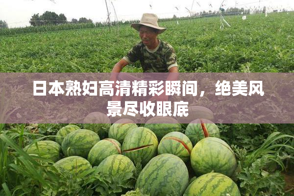 日本熟妇高清精彩瞬间，绝美风景尽收眼底
