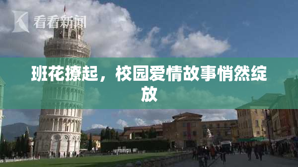 班花撩起，校园爱情故事悄然绽放