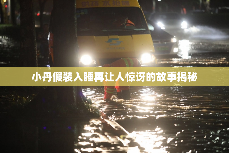 小丹假装入睡再让人惊讶的故事揭秘
