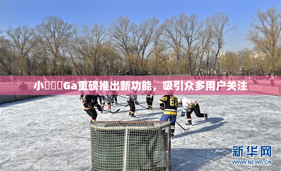 小藍視頻Ga重磅推出新功能，吸引众多用户关注