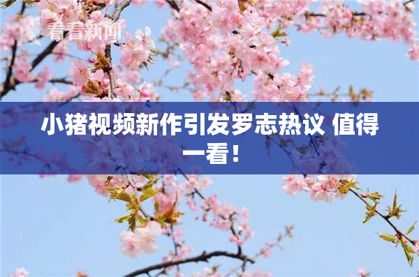小猪视频新作引发罗志热议 值得一看！