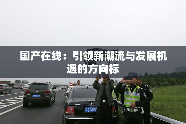 国产在线：引领新潮流与发展机遇的方向标