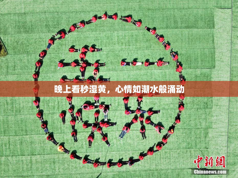 晚上看秒湿黄，心情如潮水般涌动