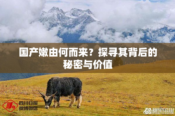国产嫩由何而来？探寻其背后的秘密与价值