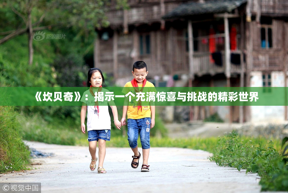 《坎贝奇》：揭示一个充满惊喜与挑战的精彩世界