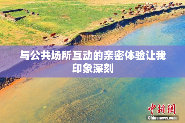 与公共场所互动的亲密体验让我印象深刻