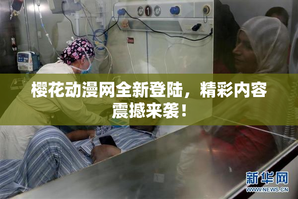 樱花动漫网全新登陆，精彩内容震撼来袭！
