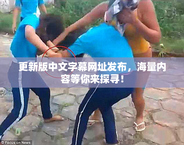 更新版中文字幕网址发布，海量内容等你来探寻！