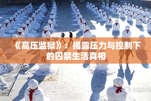 《高压监狱》：揭露压力与控制下的囚禁生活真相