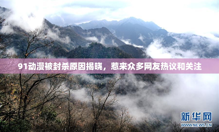91动漫被封杀原因揭晓，惹来众多网友热议和关注