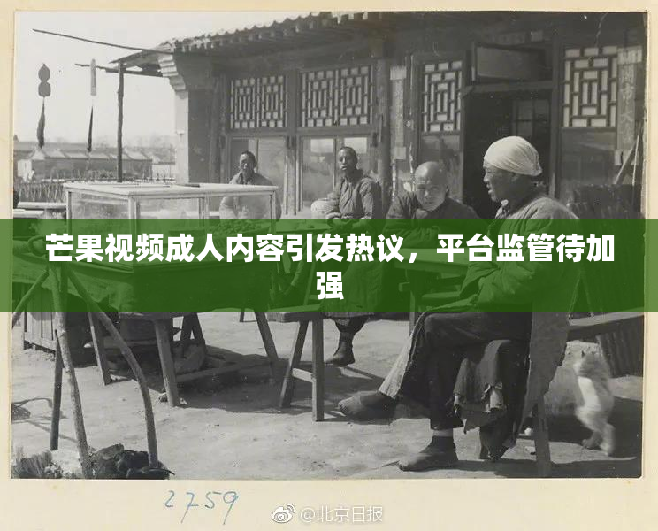 芒果视频成人内容引发热议，平台监管待加强