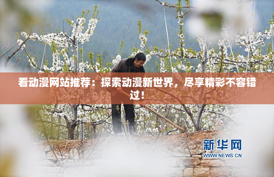 看动漫网站推荐：探索动漫新世界，尽享精彩不容错过！