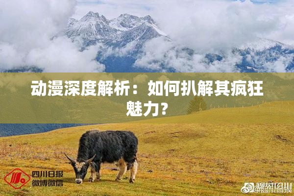 动漫深度解析：如何扒解其疯狂魅力？