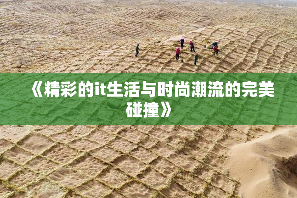 《精彩的it生活与时尚潮流的完美碰撞》