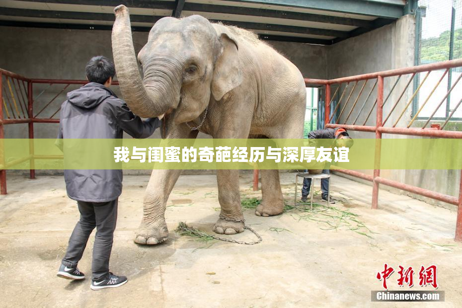我与闺蜜的奇葩经历与深厚友谊
