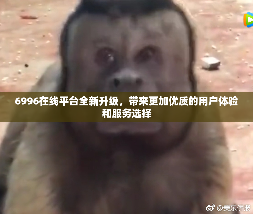 6996在线平台全新升级，带来更加优质的用户体验和服务选择