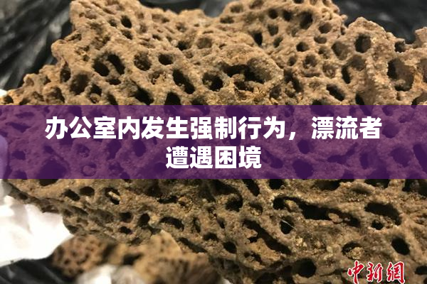 办公室内发生强制行为，漂流者遭遇困境