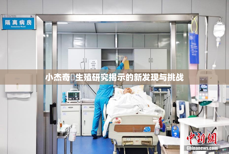 小杰奇犽生殖研究揭示的新发现与挑战