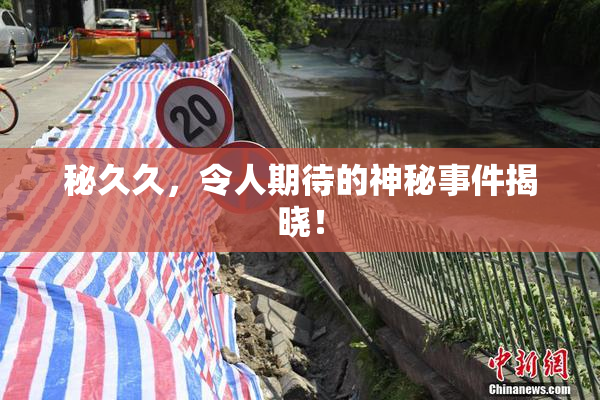 秘久久，令人期待的神秘事件揭晓！
