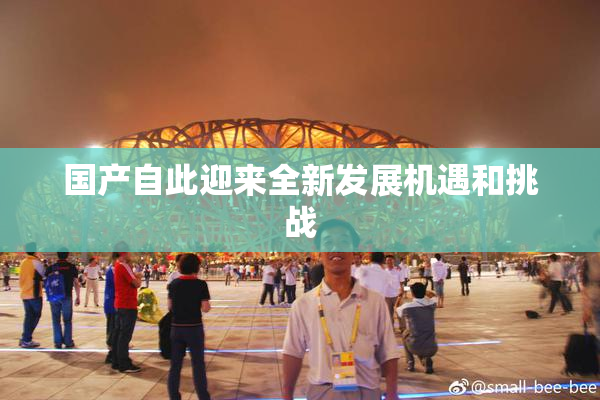 国产自此迎来全新发展机遇和挑战