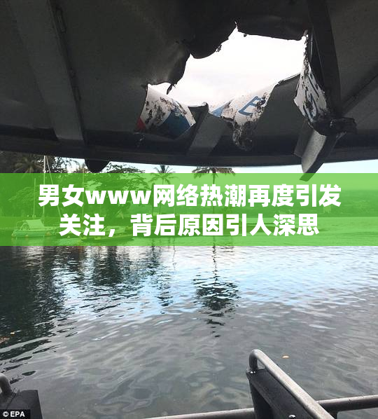男女www网络热潮再度引发关注，背后原因引人深思