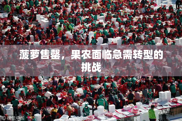 菠萝售罄，果农面临急需转型的挑战