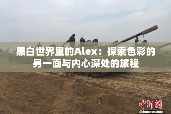 黑白世界里的Alex：探索色彩的另一面与内心深处的旅程