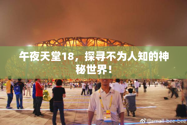 午夜天堂18，探寻不为人知的神秘世界！