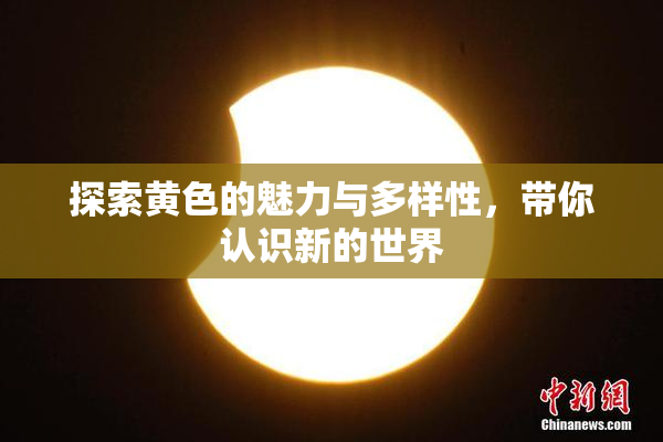 探索黄色的魅力与多样性，带你认识新的世界