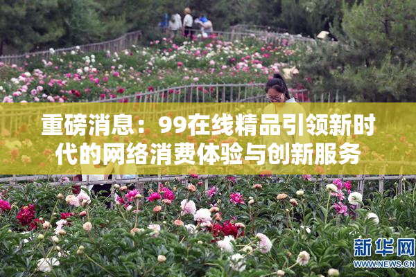 重磅消息：99在线精品引领新时代的网络消费体验与创新服务