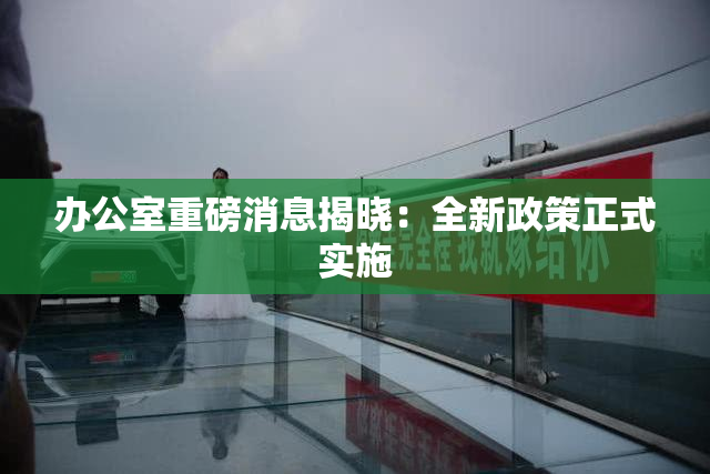 办公室重磅消息揭晓：全新政策正式实施
