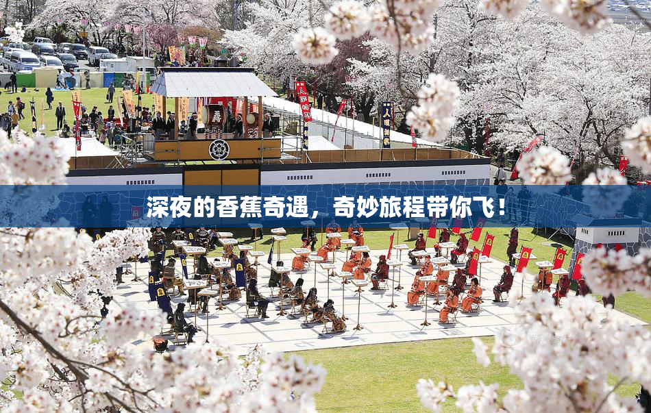深夜的香蕉奇遇，奇妙旅程带你飞！