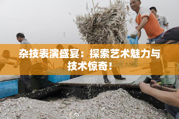 杂技表演盛宴：探索艺术魅力与技术惊奇！