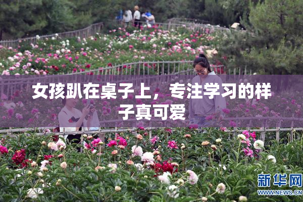 女孩趴在桌子上，专注学习的样子真可爱