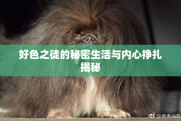 好色之徒的秘密生活与内心挣扎揭秘