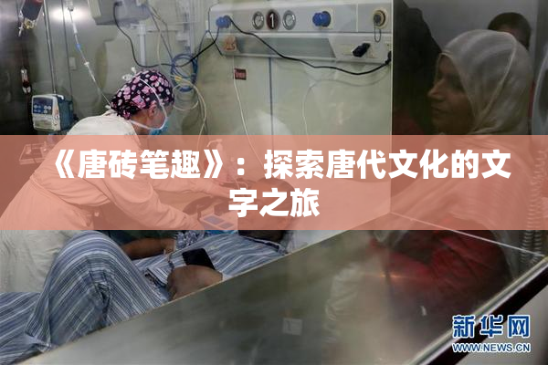 《唐砖笔趣》：探索唐代文化的文字之旅