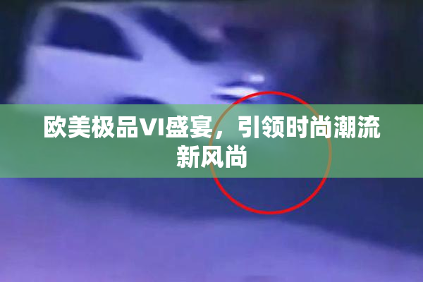 欧美极品VI盛宴，引领时尚潮流新风尚