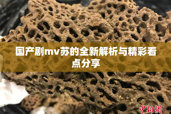 国产剧mv苏的全新解析与精彩看点分享
