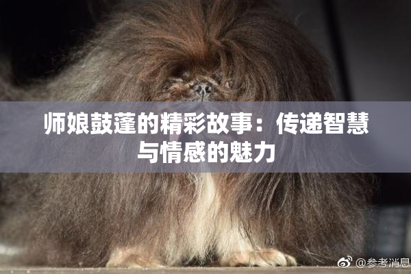 师娘鼓蓬的精彩故事：传递智慧与情感的魅力