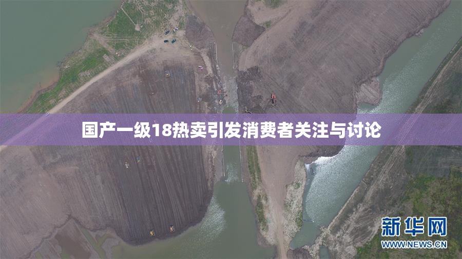 国产一级18热卖引发消费者关注与讨论
