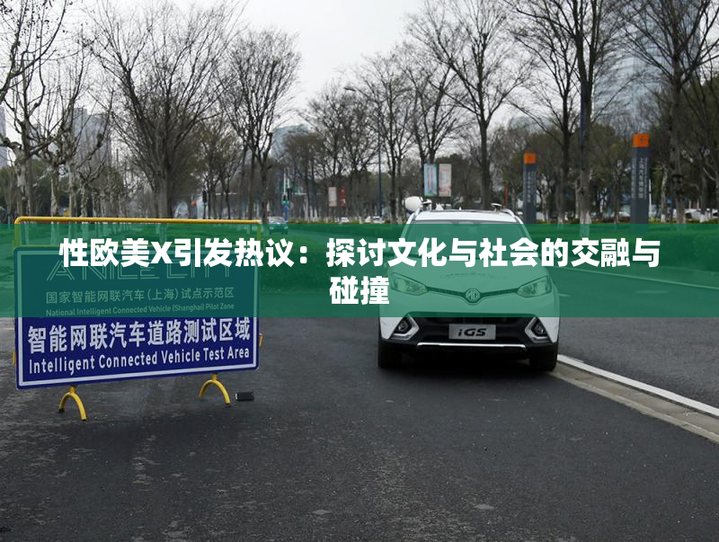 性欧美X引发热议：探讨文化与社会的交融与碰撞