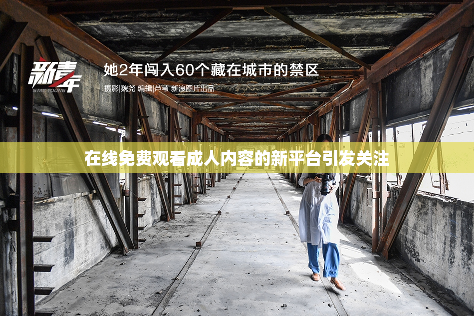 在线免费观看成人内容的新平台引发关注
