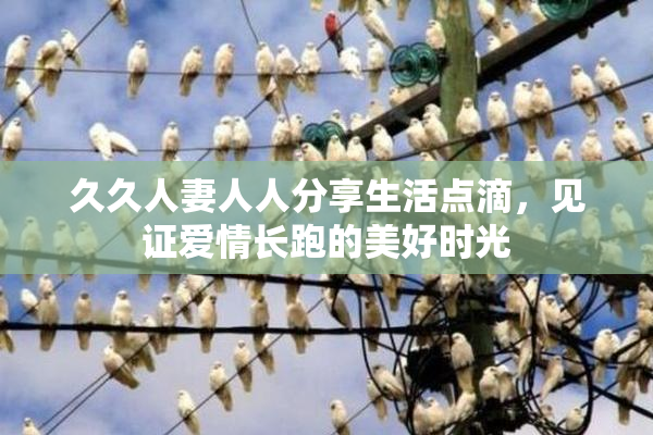 久久人妻人人分享生活点滴，见证爱情长跑的美好时光
