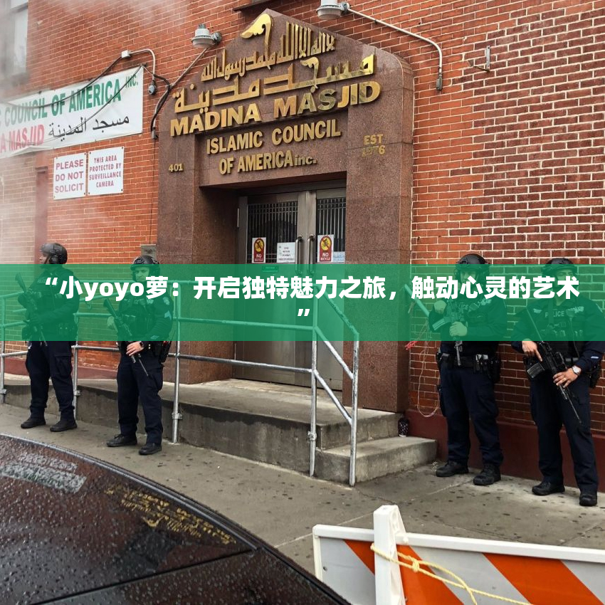 “小yoyo萝：开启独特魅力之旅，触动心灵的艺术”